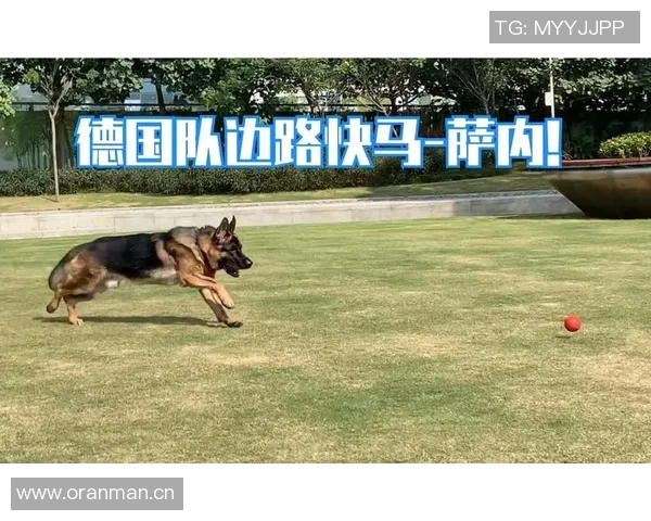 武汉飞盘队边路渗透分析：优劣势与战术调整探讨